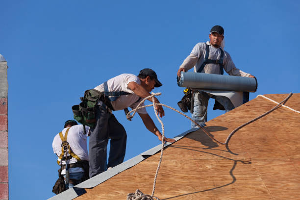 Best Local Roofing Companies  in Freemansburg, PA