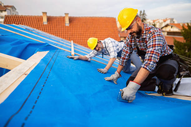 Best Commercial Roofing Services  in Freemansburg, PA