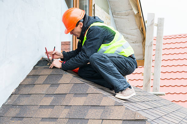 Best Storm Damage Roof Repair  in Freemansburg, PA